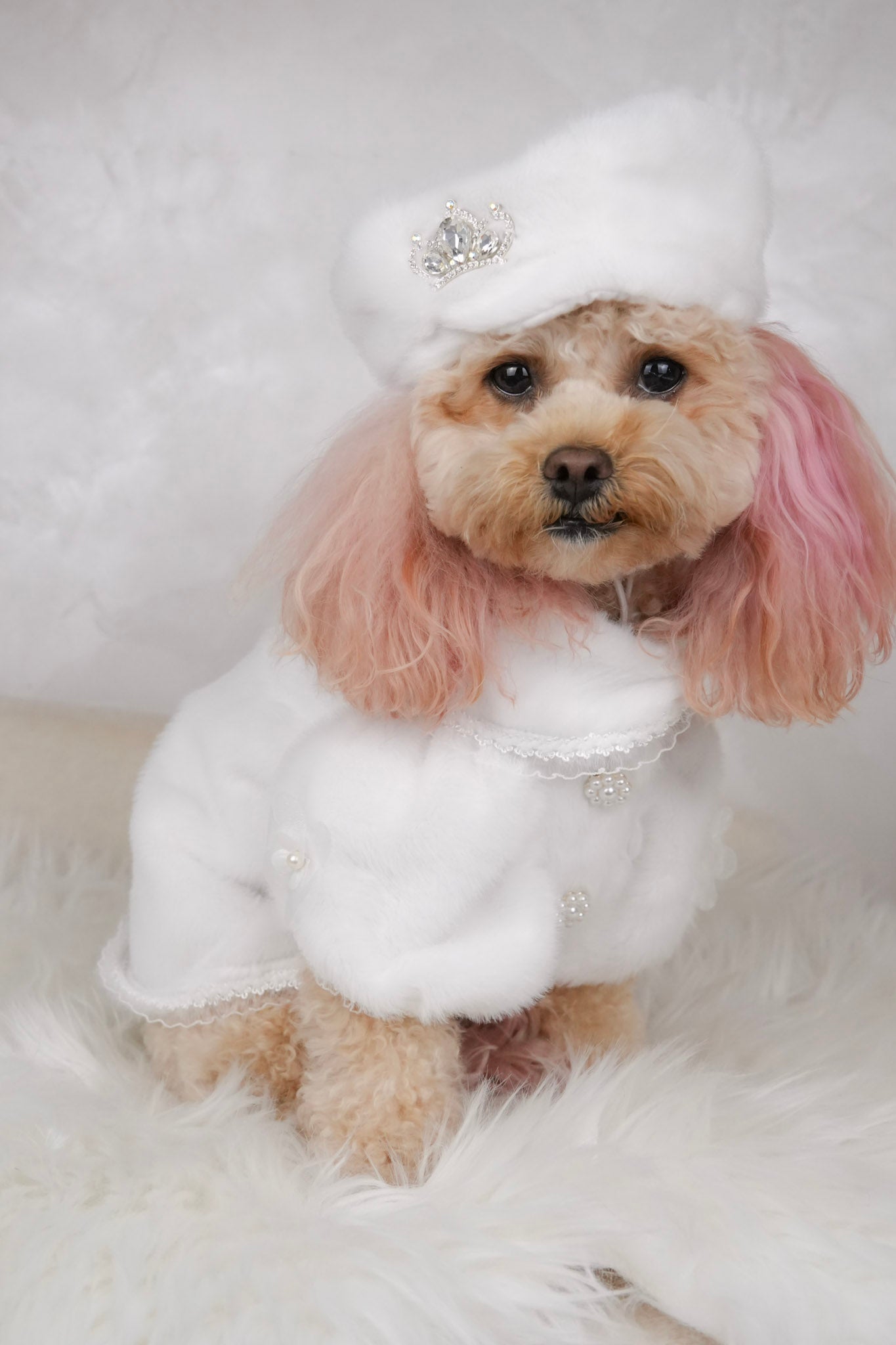Snow Belle elegant outfit for pets
