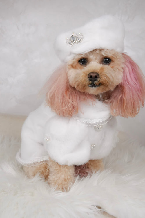 Snow Belle elegant outfit for pets