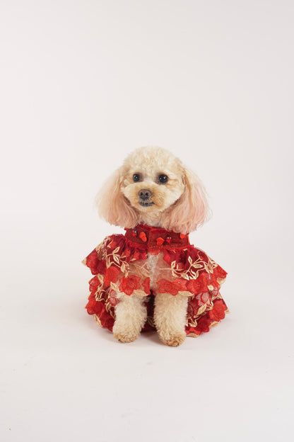 Stylish Valentine's pet dress