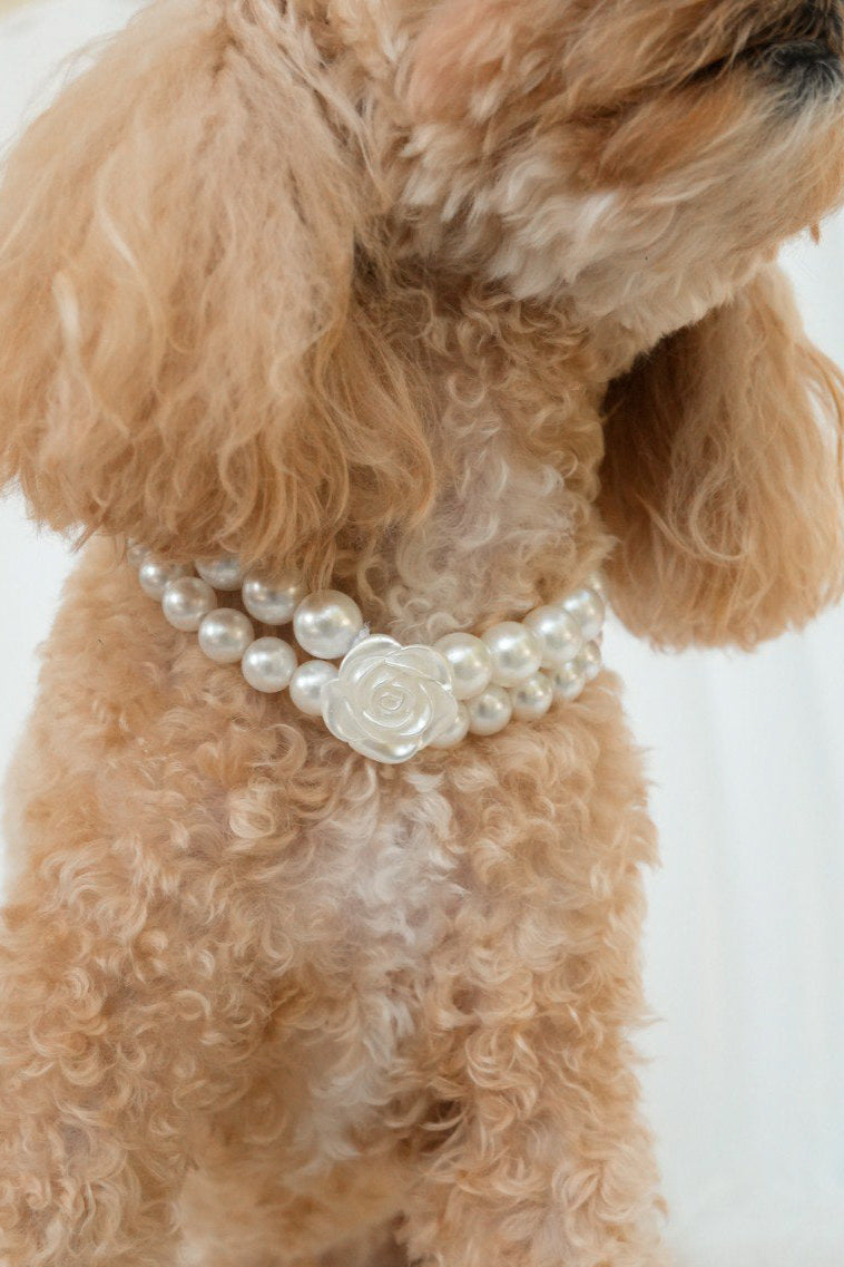 Stylish pet necklace