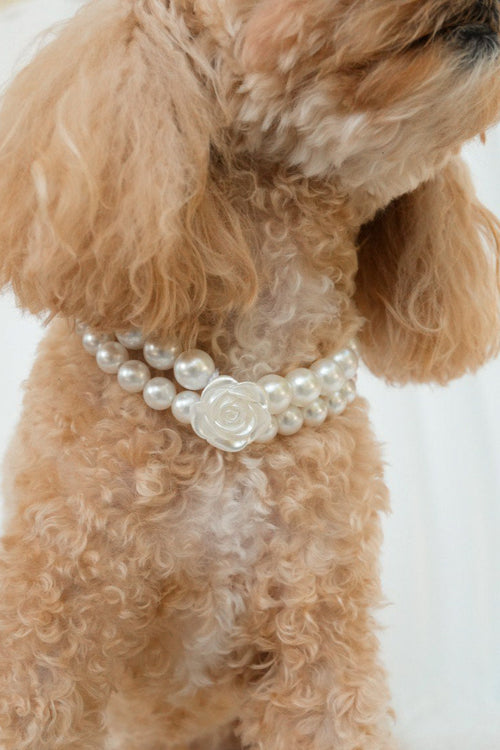 Stylish pet necklace