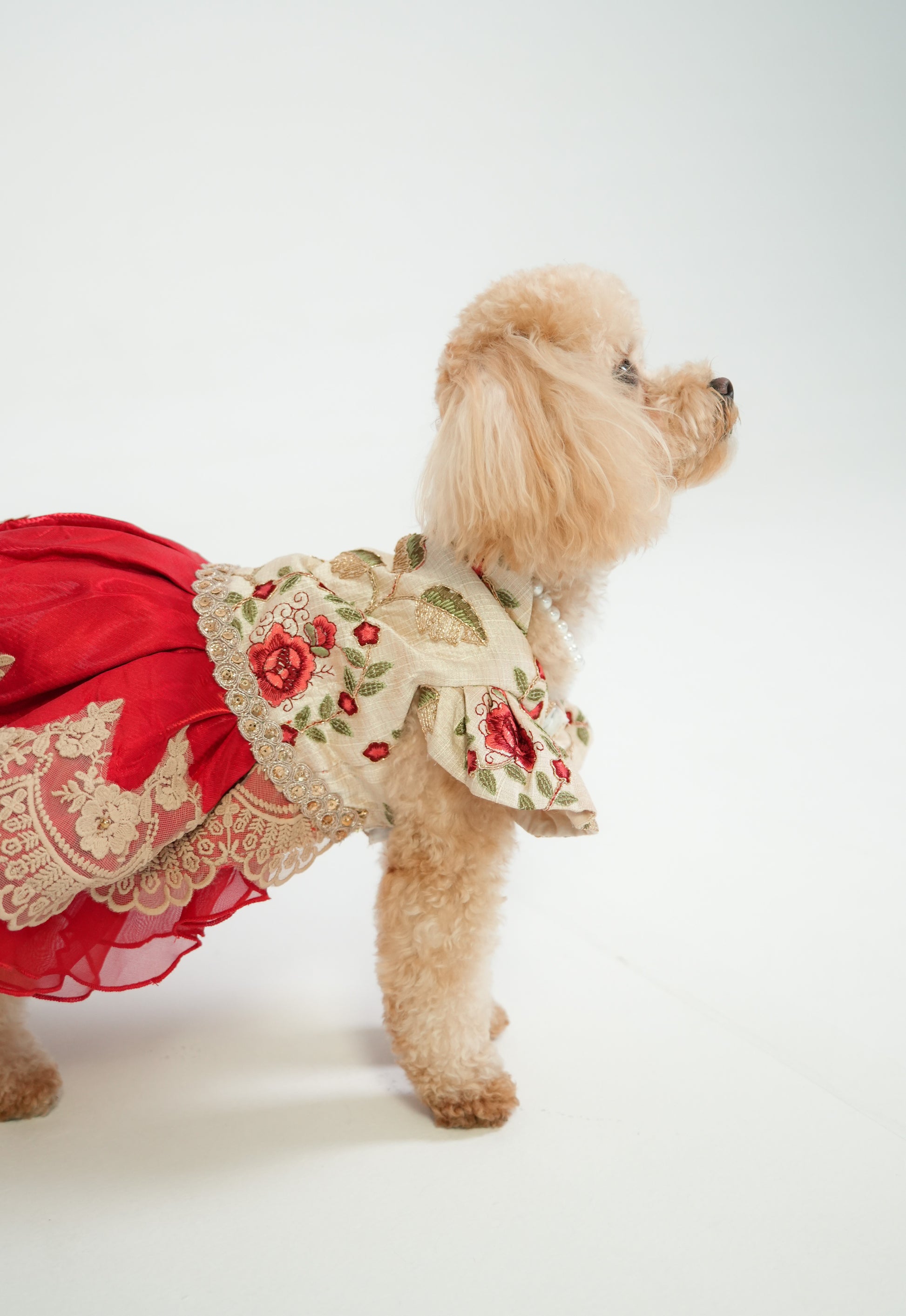 Stylish red dress for pets