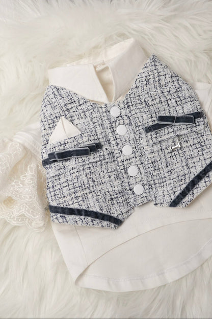 Stylish pet vest outfit