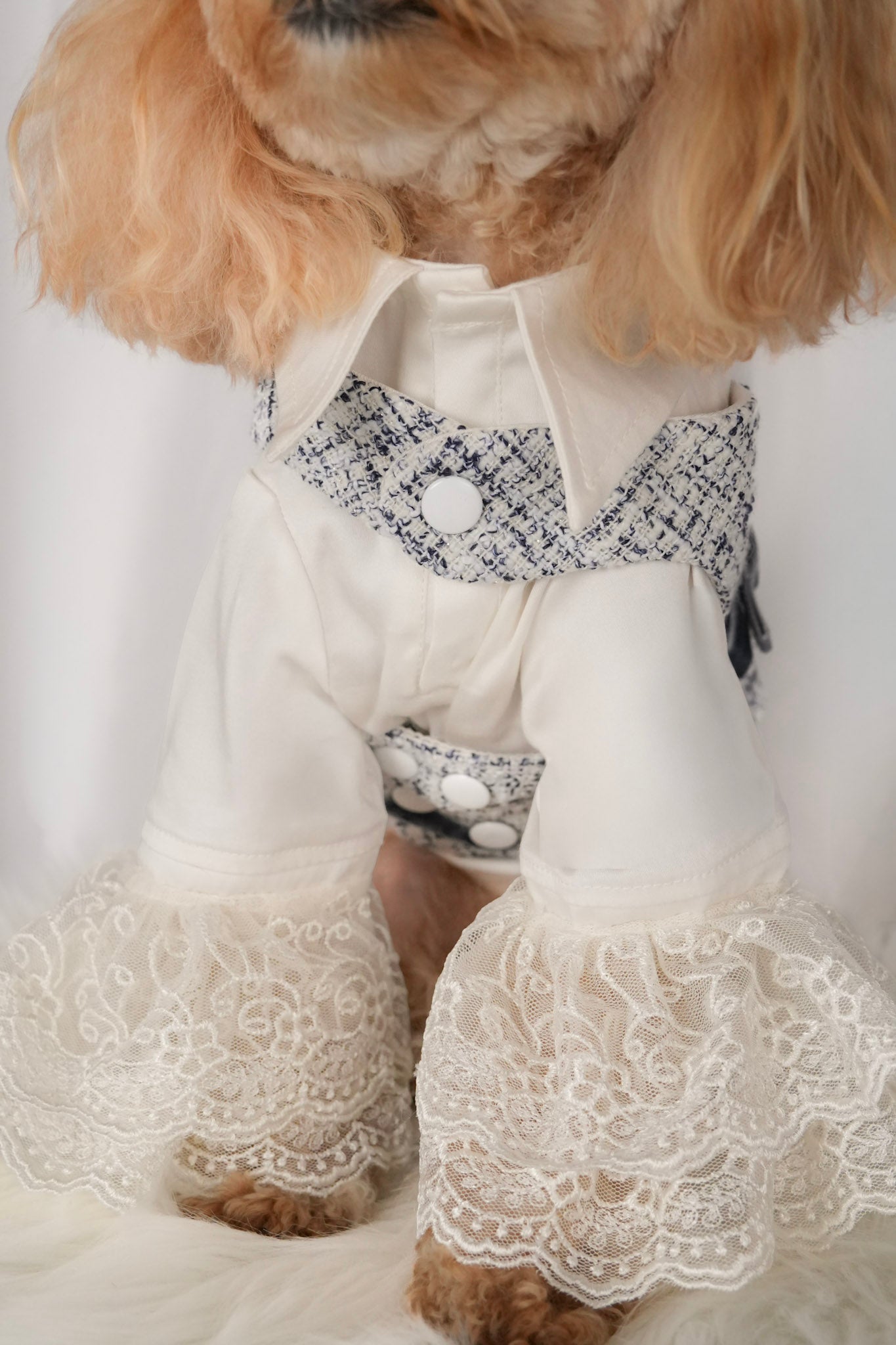 Stylish vest shirt pet outfit