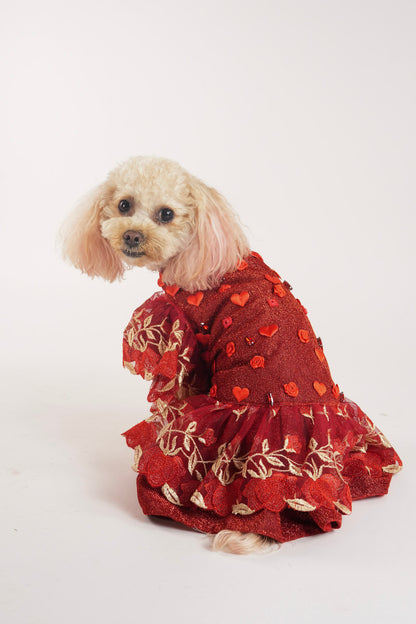 Valentines pet dress back details