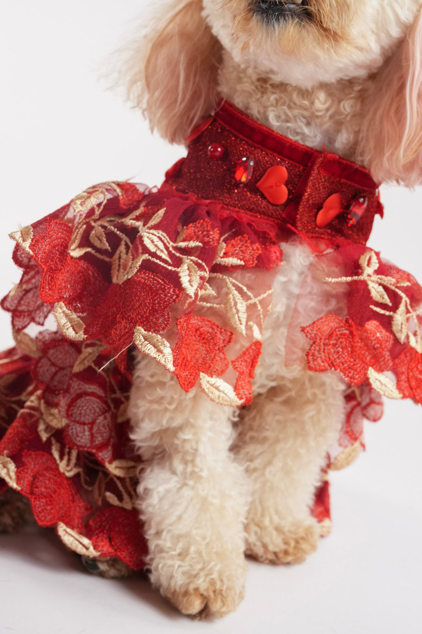 Valentines pet dress details