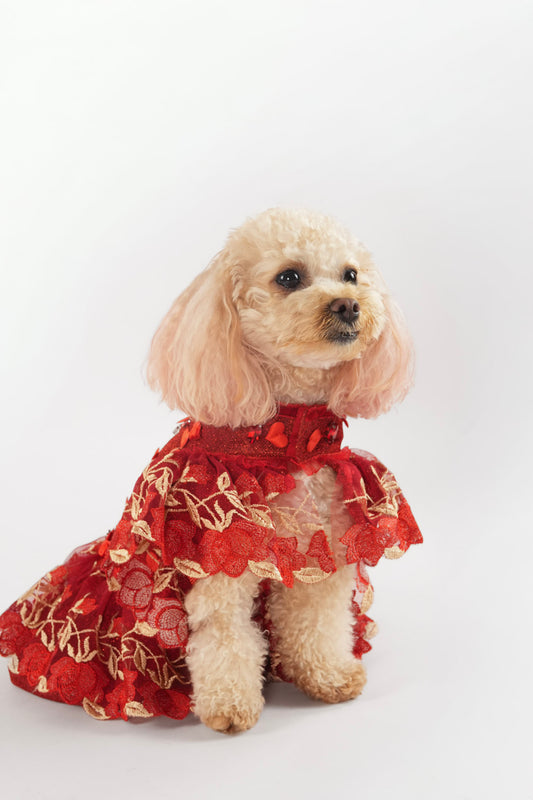 Valentines red shiny pet dress