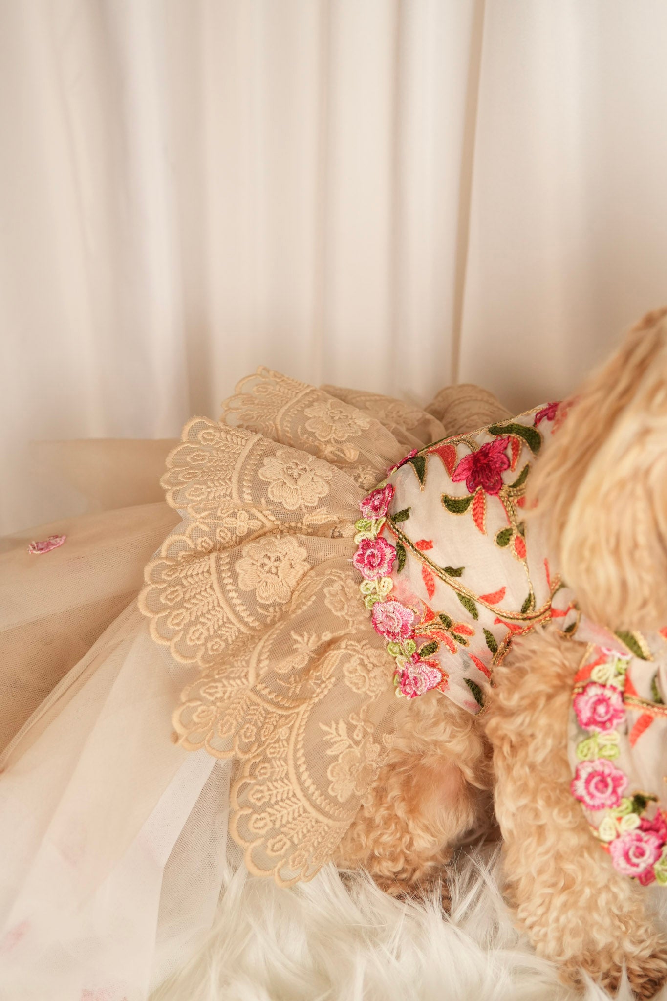 bloom allure floral pet dress