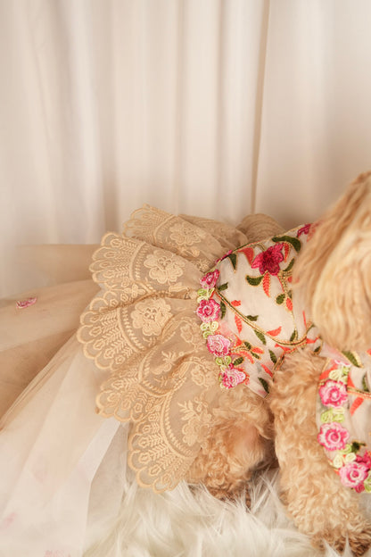 bloom allure floral pet dress