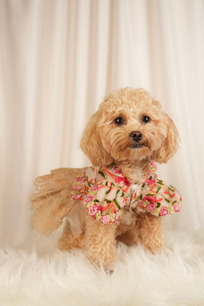 bloom allure floral pet dress