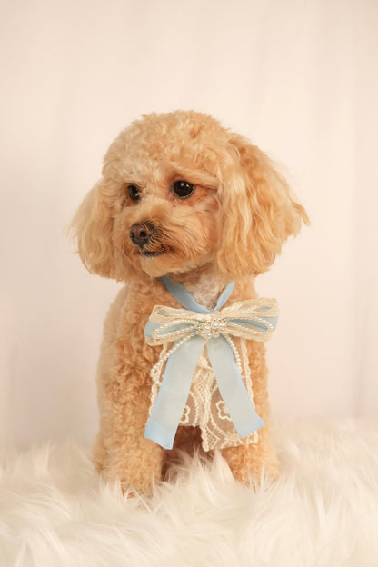 pearl pet necklace with cute bow charm
