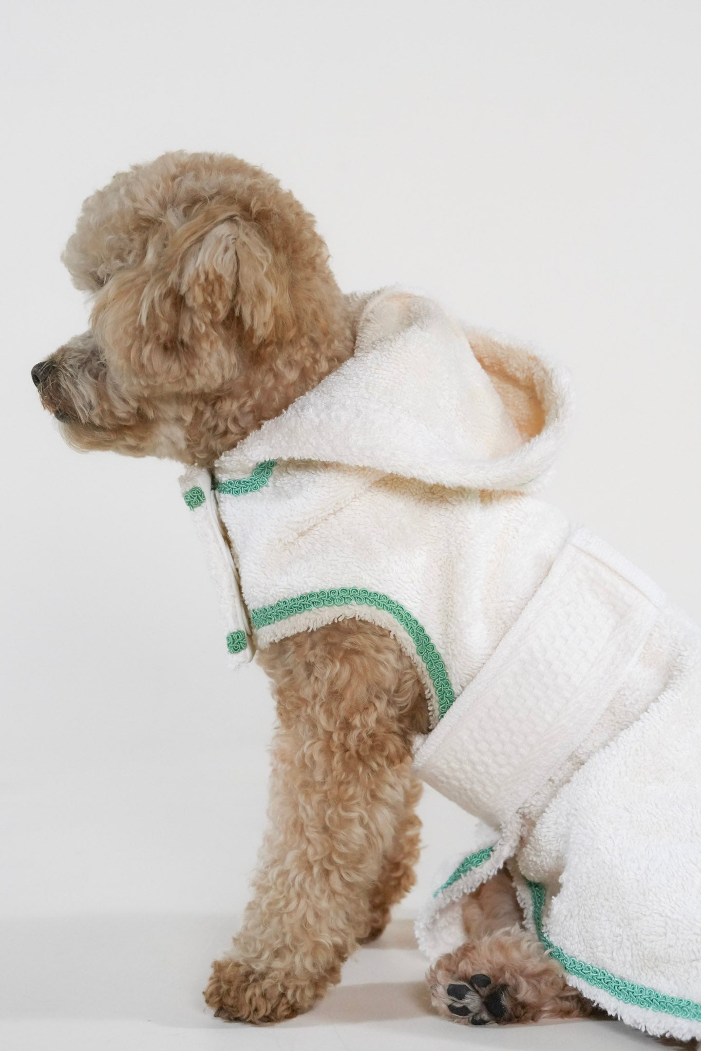 Cosy Cocoon ultra-soft pet bathrobe with adjustable waist strap and hood