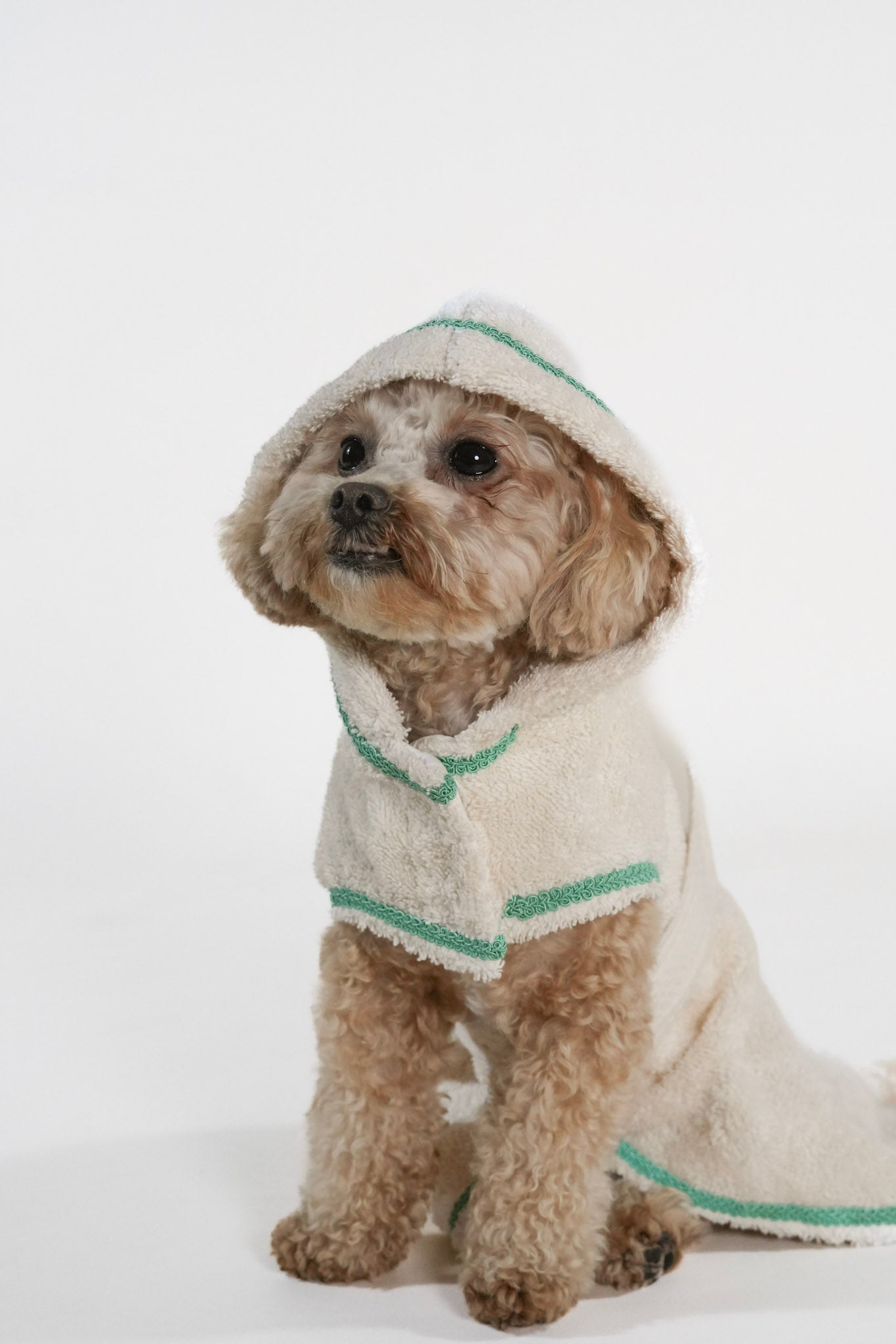Cosy Cocoon ultra-soft pet bathrobe with adjustable waist strap and hood