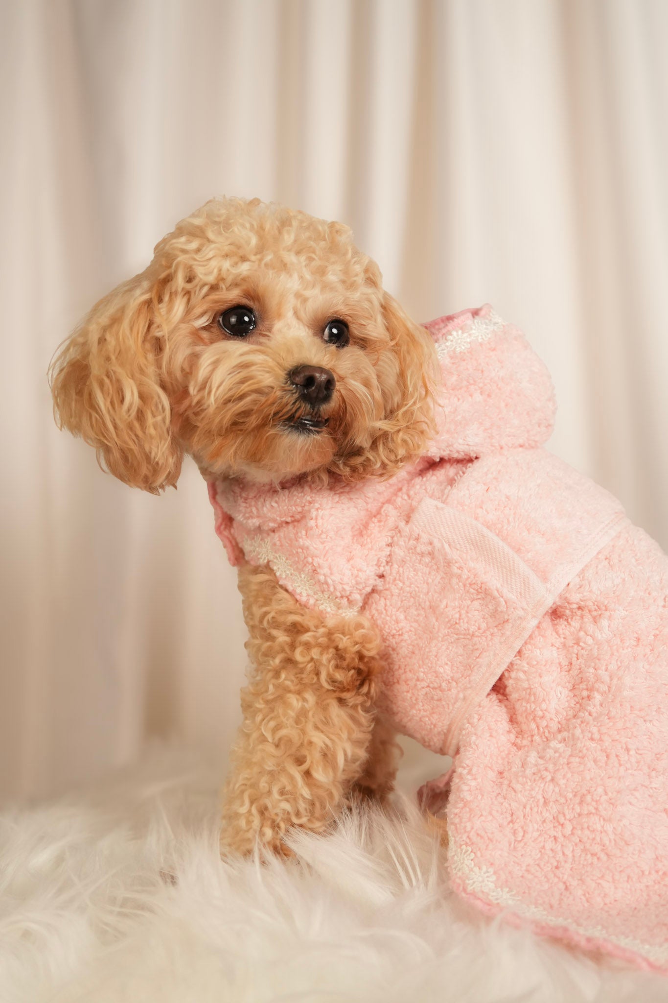 Cosy Cocoon ultra-soft pet bathrobe with adjustable waist strap and hood