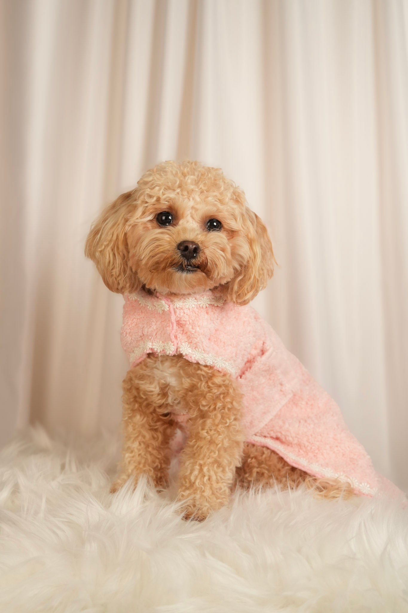 Cosy Cocoon ultra-soft pet bathrobe with adjustable waist strap and hood