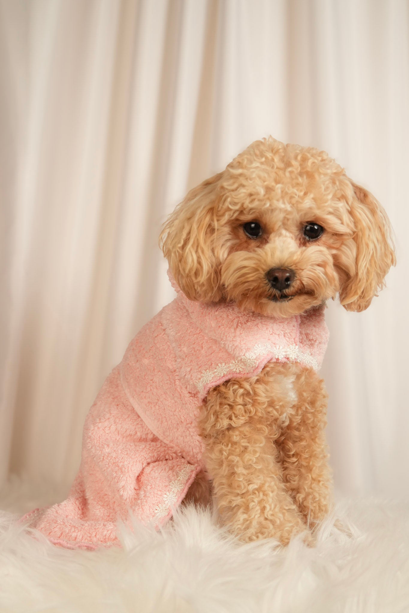 Cosy Cocoon ultra-soft pet bathrobe with adjustable waist strap and hood