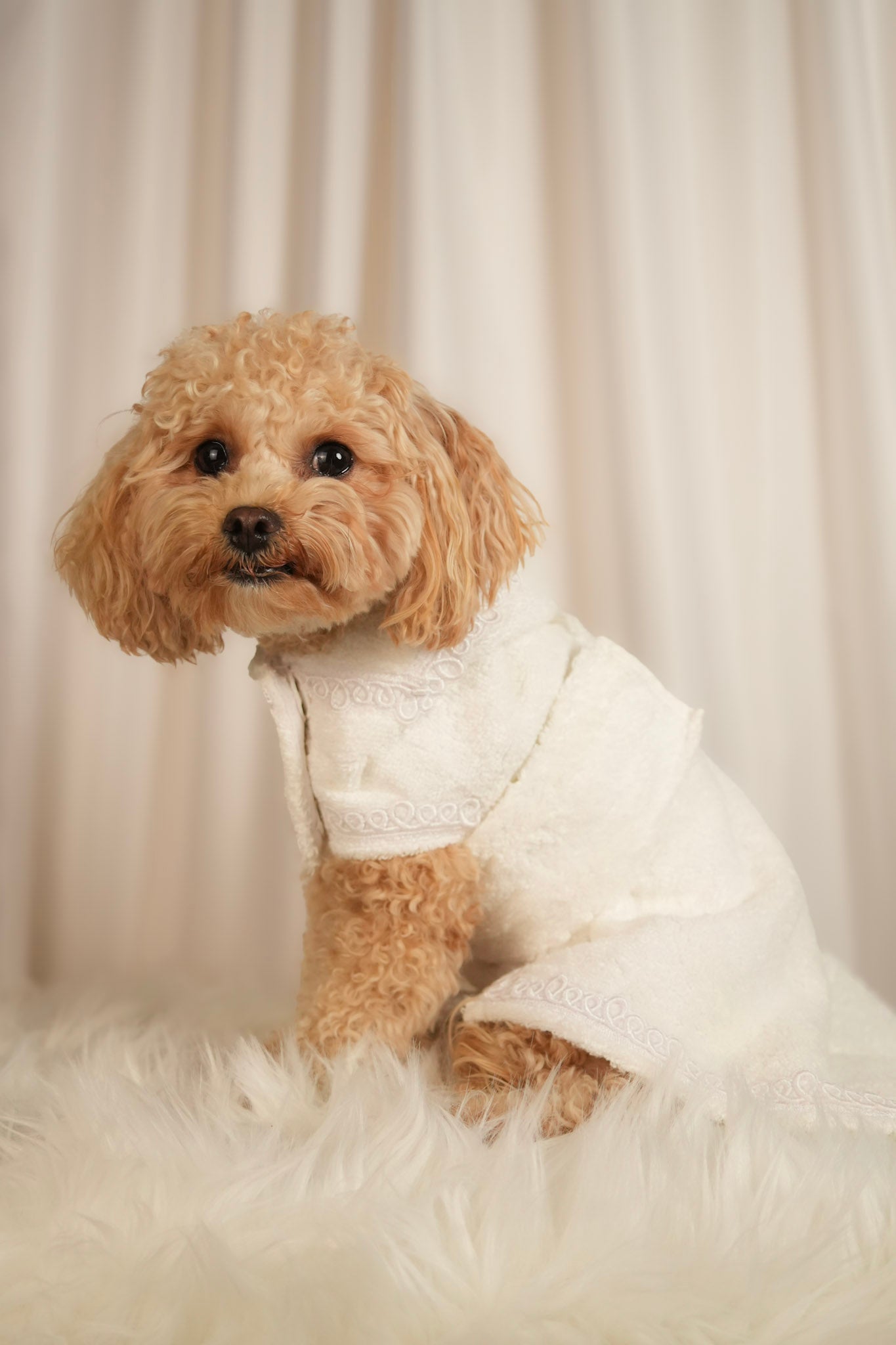 Cosy Cocoon ultra-soft pet bathrobe with adjustable waist strap and hood