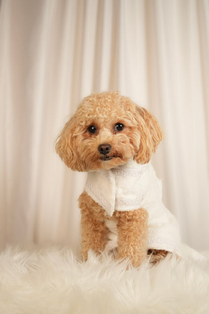Cosy Cocoon ultra-soft pet bathrobe with adjustable waist strap and hood