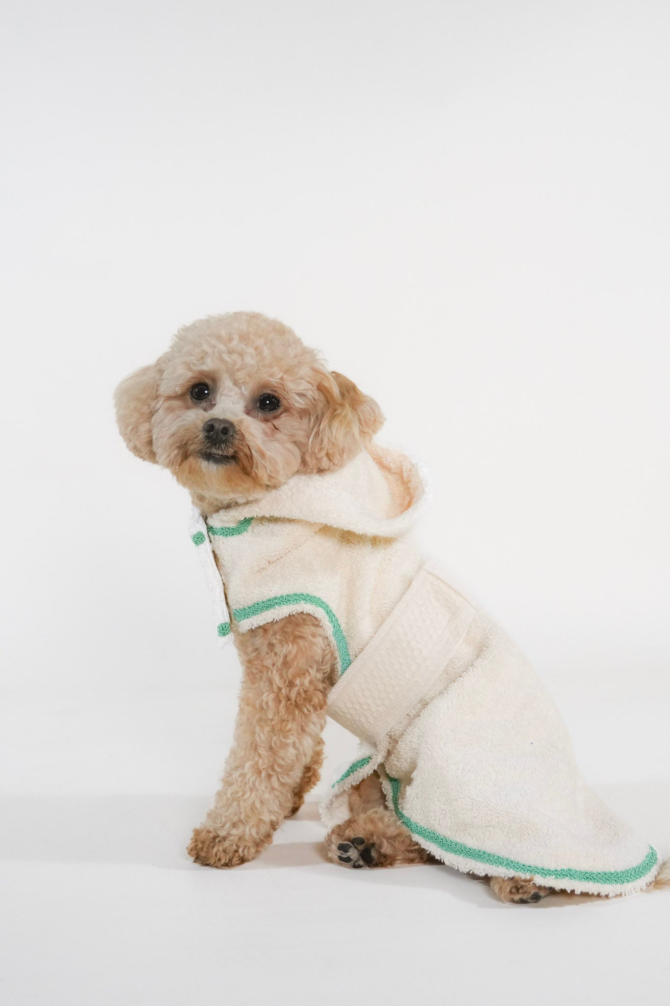 Cosy Cocoon ultra-soft pet bathrobe with adjustable waist strap and hood