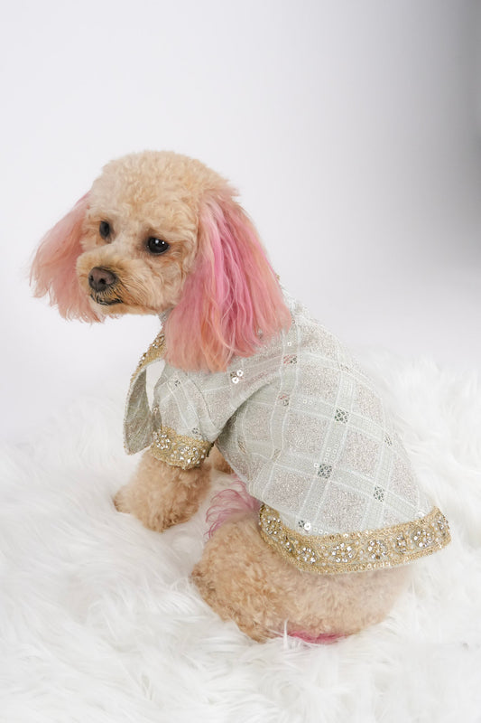 Diwali pet outfit side view