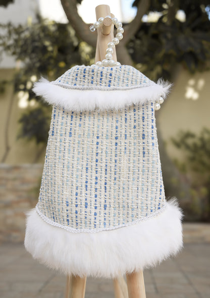 Earl Grey Elegance blue pet dress with removable feathers