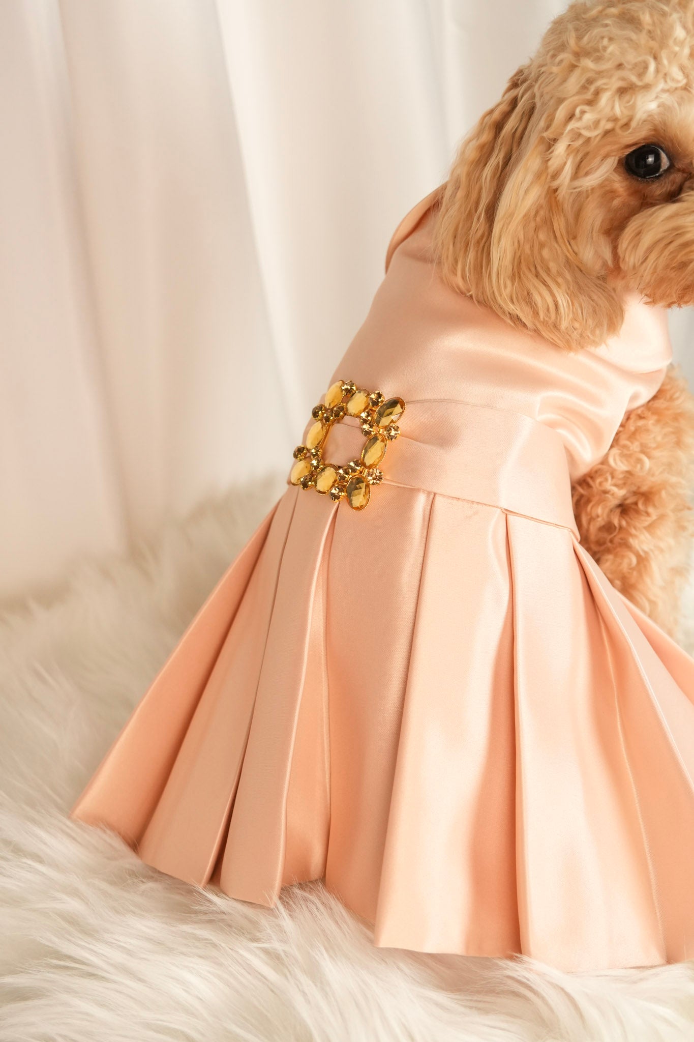 elegance glow pet dress front view