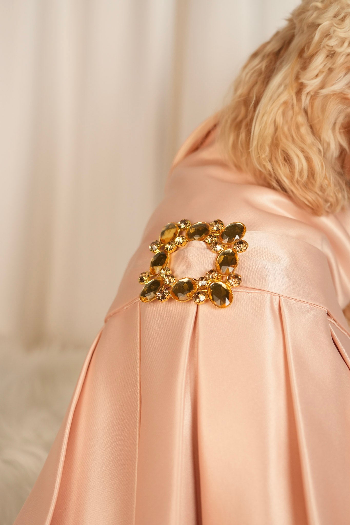 elegance glow pet dress front view