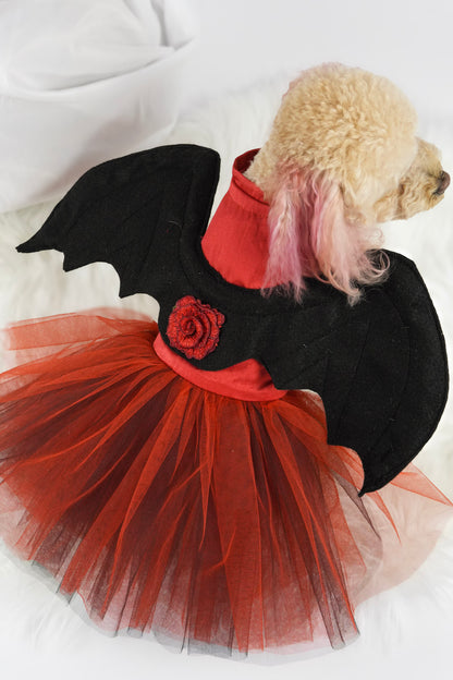 Festive Halloween pet apparel