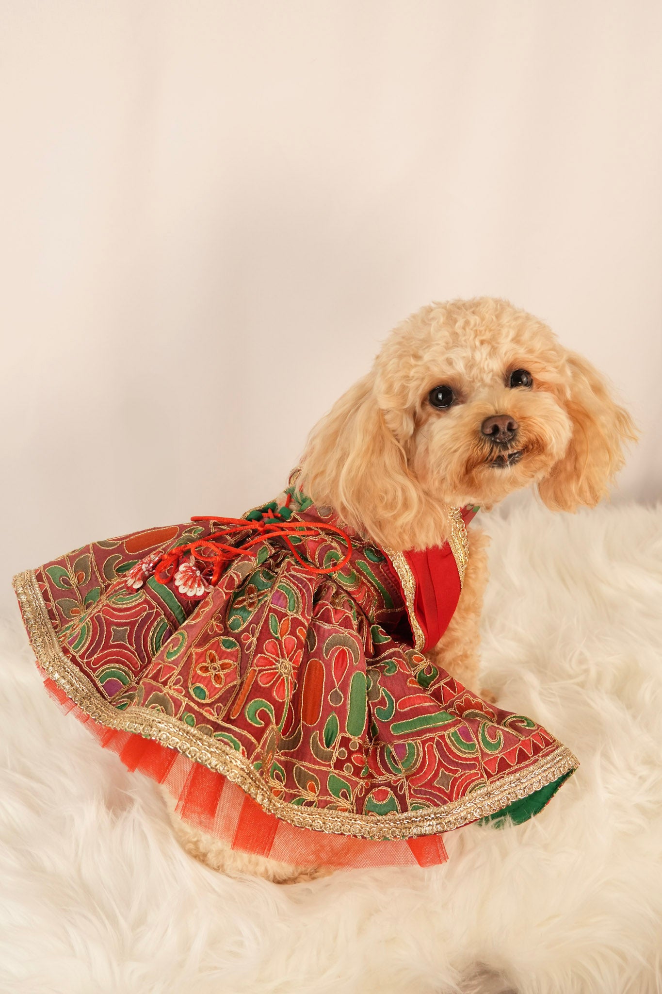 red sari style pet dress with matching bow