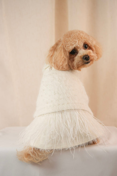 Elegant pet coat with delicate pearls and clip-on feathers