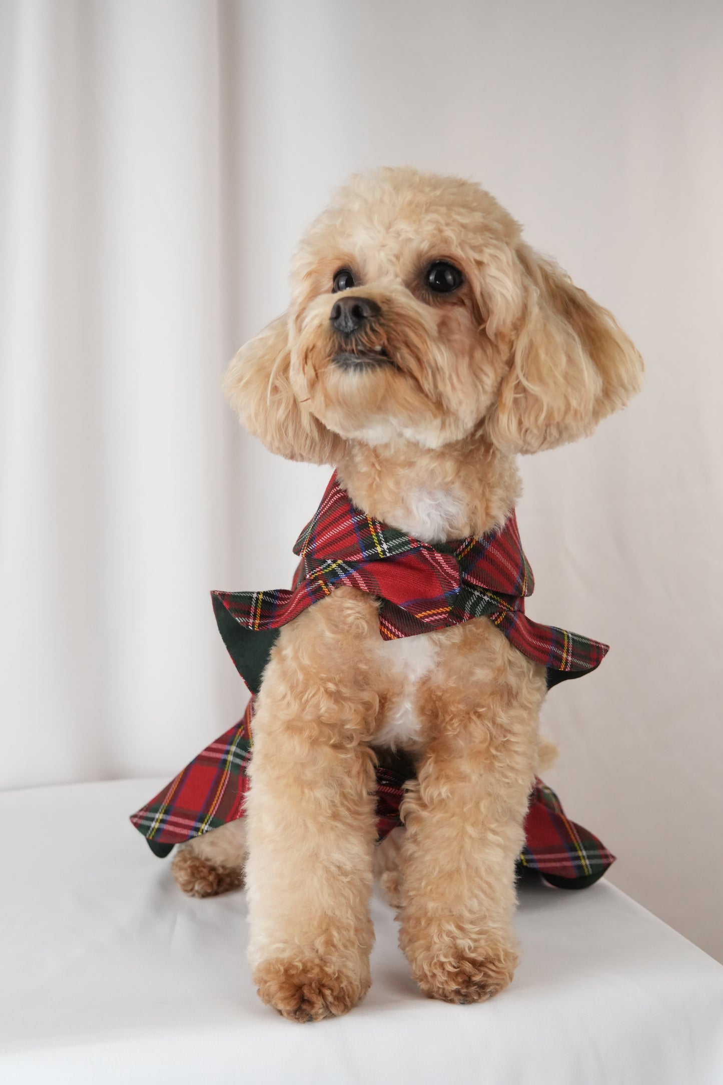 red patterned pet dress with crisscross design and bow