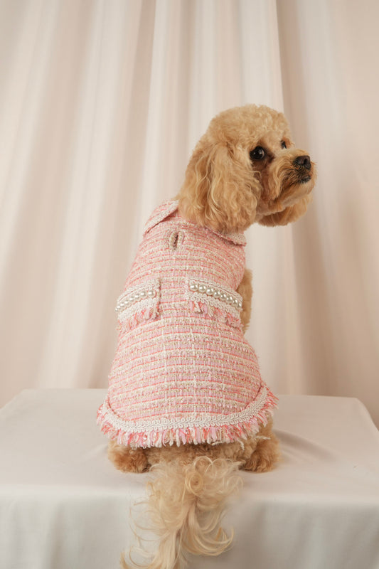 Mademoiselle Elegance pink pet dress for stylish outings
