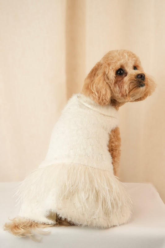 Soft pet outfit featuring small pearls and feather details