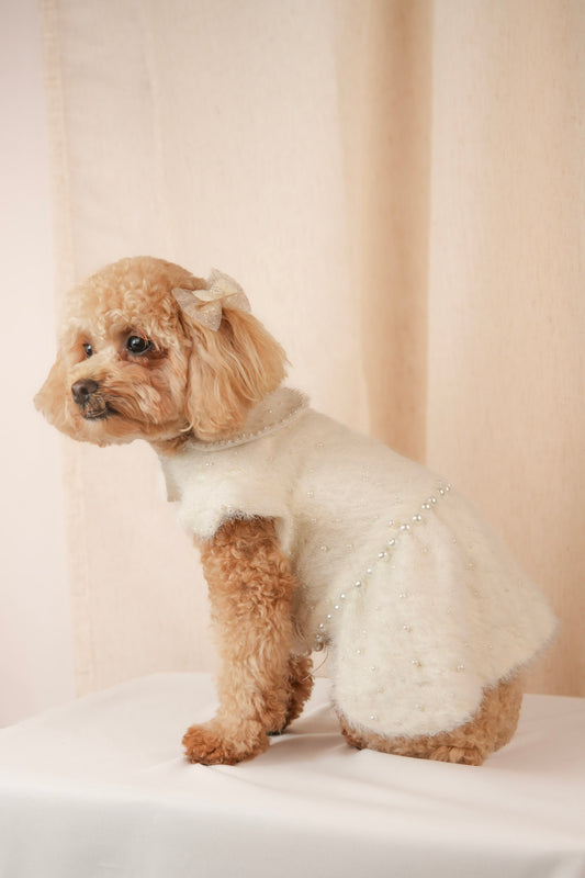 Ocean Pearl white pet dress with pearl embroidery