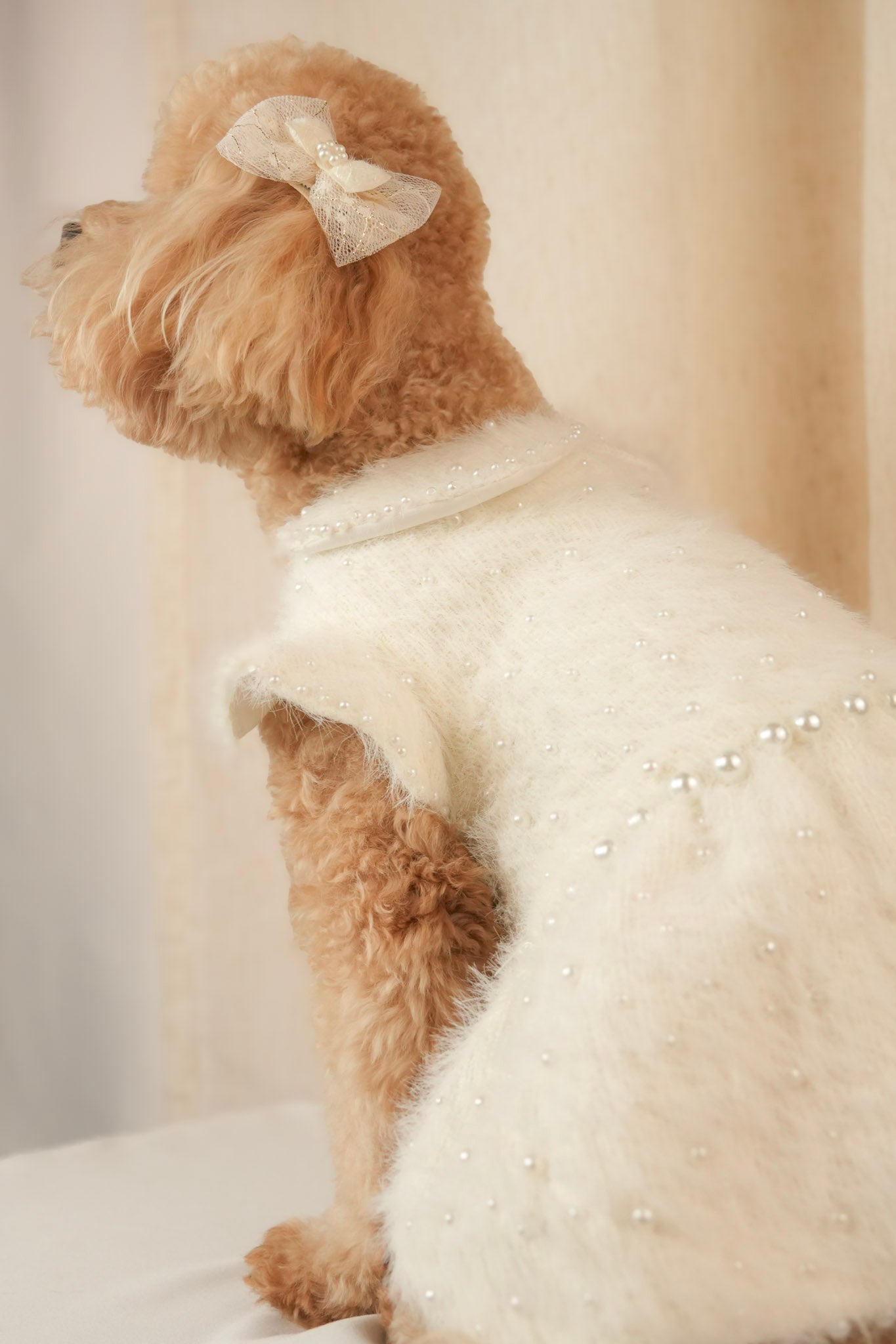 Ocean Pearl white pet dress with pearl embroidery