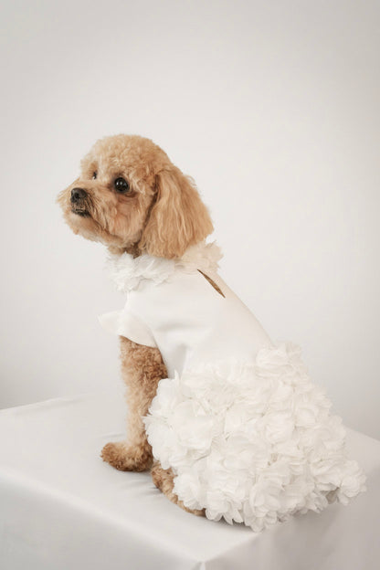 pet white floral dress
