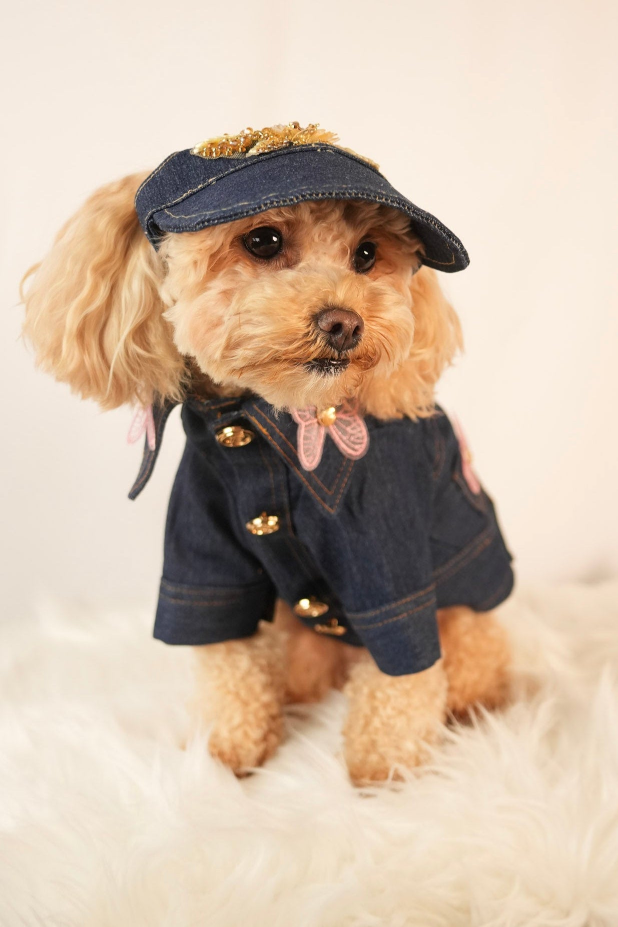 denim pet jacket with fun embroidered icons and matching cap