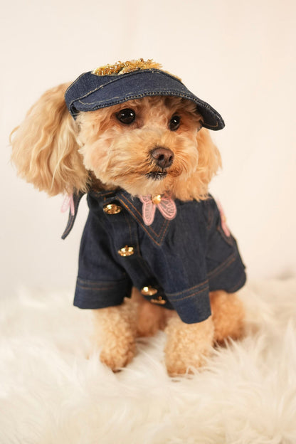 denim pet jacket with fun embroidered icons and matching cap