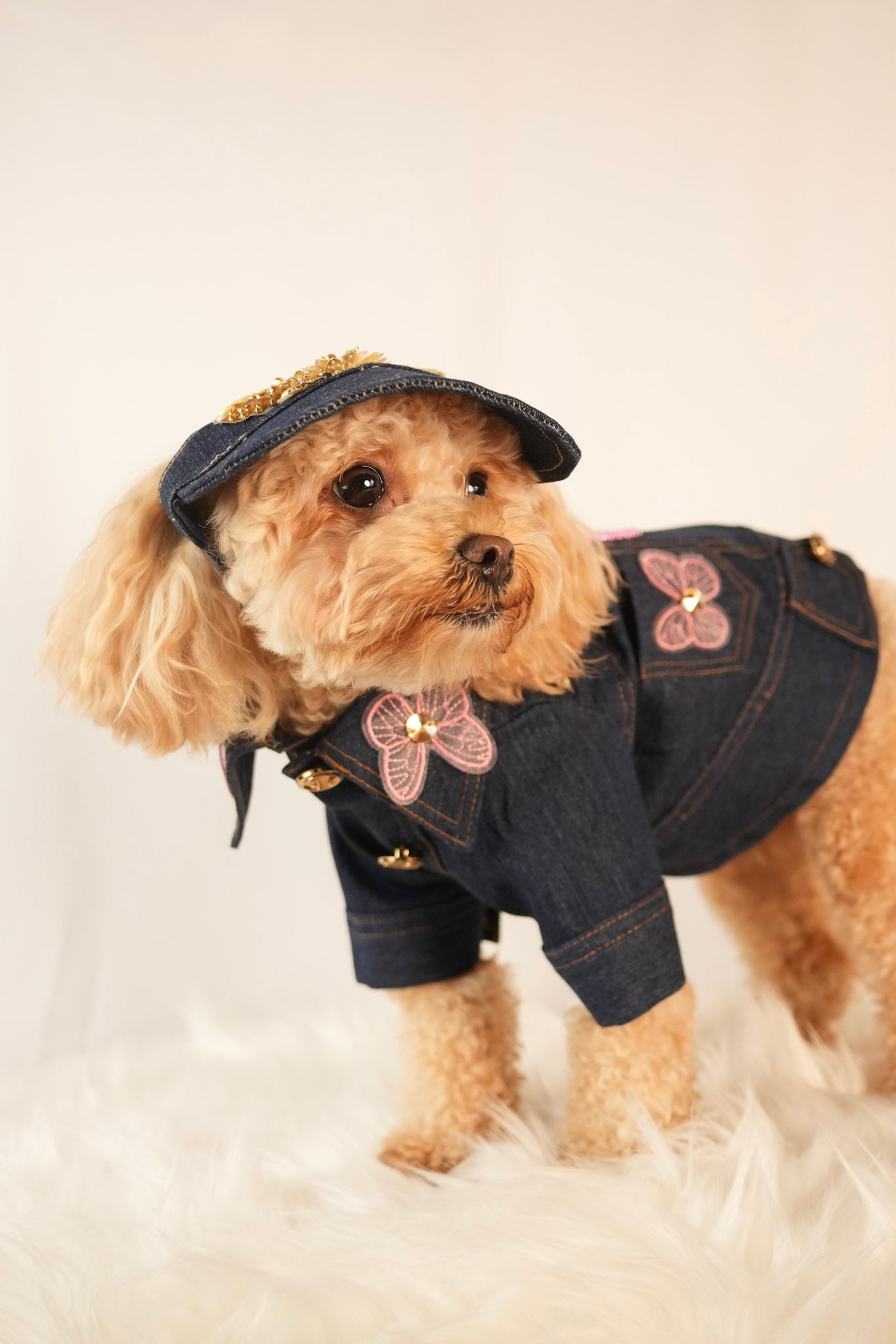 denim pet jacket with fun embroidered icons and matching cap