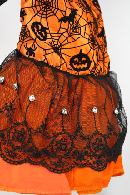 spooky chic pet outfit details