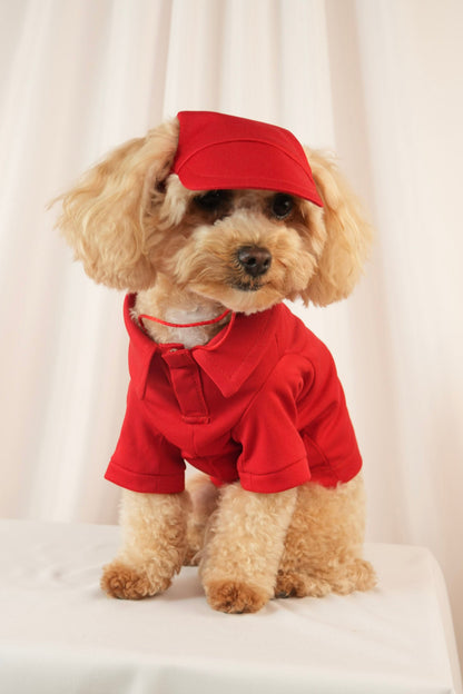 red polo shirt with matching cap for pets
