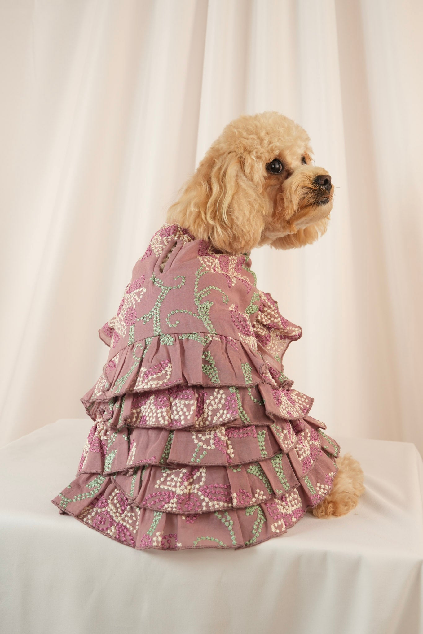 Twilight Serenade colorful pet dress with ruffle details