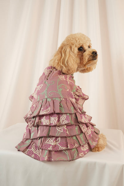 Twilight Serenade colorful pet dress with ruffle details