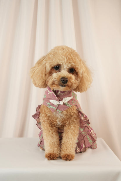 Twilight Serenade colorful pet dress with ruffle details