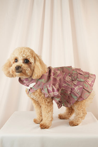 Twilight Serenade colorful pet dress with ruffle details