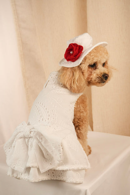 white camellia elegant pet dress